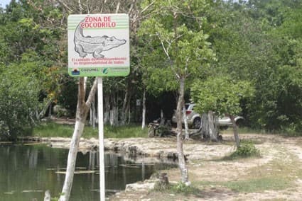 Desafían el peligro