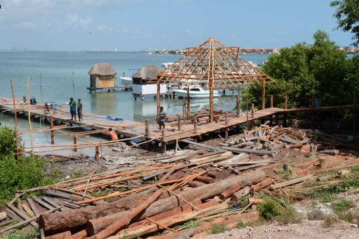 Construcción de muelle daña 217 metros cuadrados de manglar