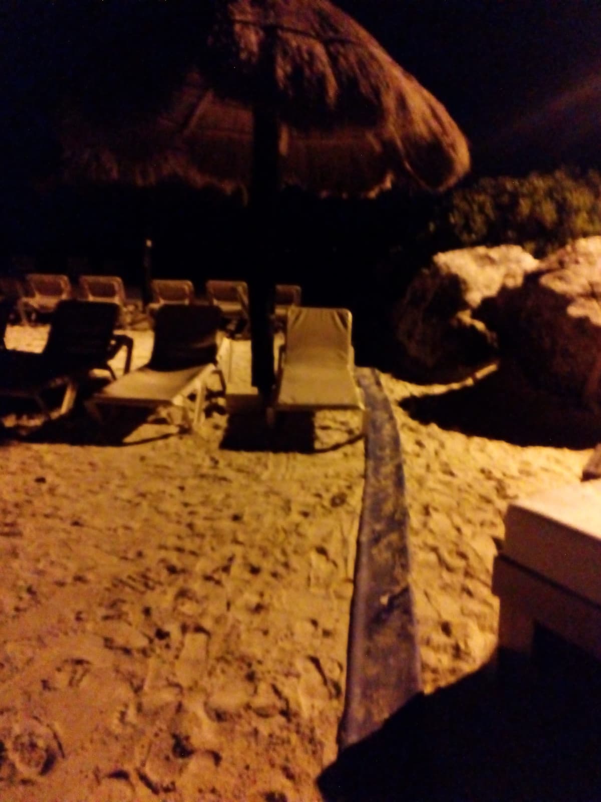 PROFEPA investiga dragado de laguna que realizó Hotel Catalonia