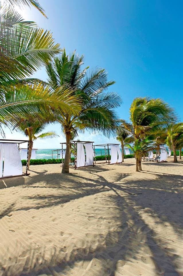 Reconoce TUI a hoteles de la Riviera Maya
