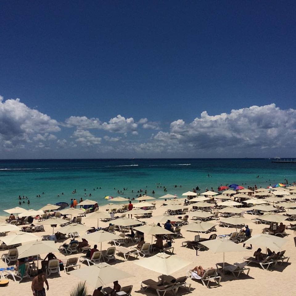 Rechaza Semarnat museo subacuático para Playa del Carmen