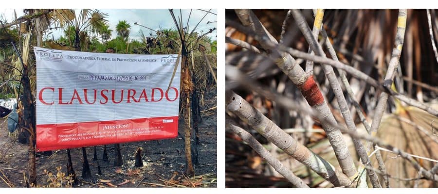 Incendio de Holbox fue provocado