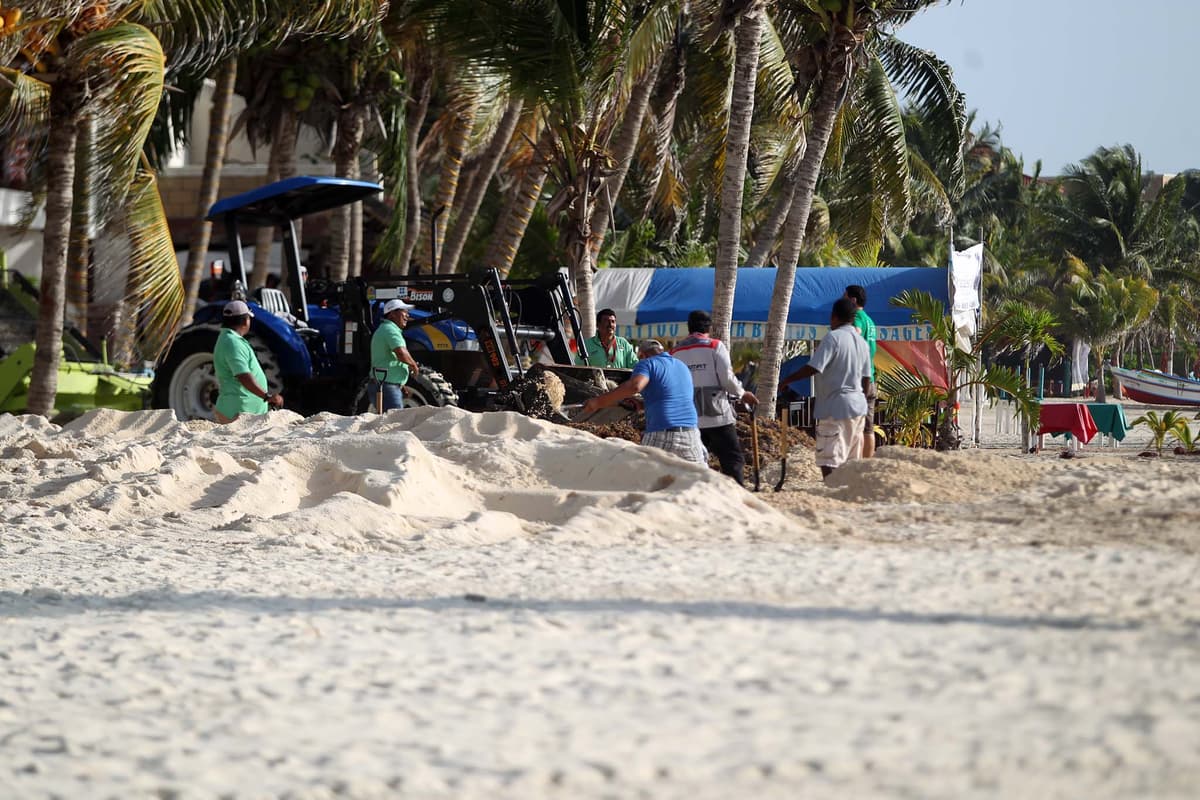 Impulsará Pereyra iniciativa para respetar duna costera