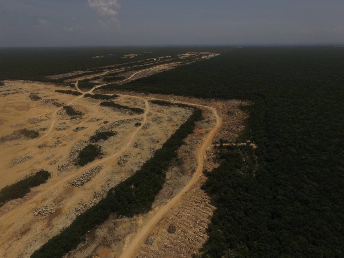 Bloquera ABC ignora clausura de la PROFEPA: Continúa la devastación