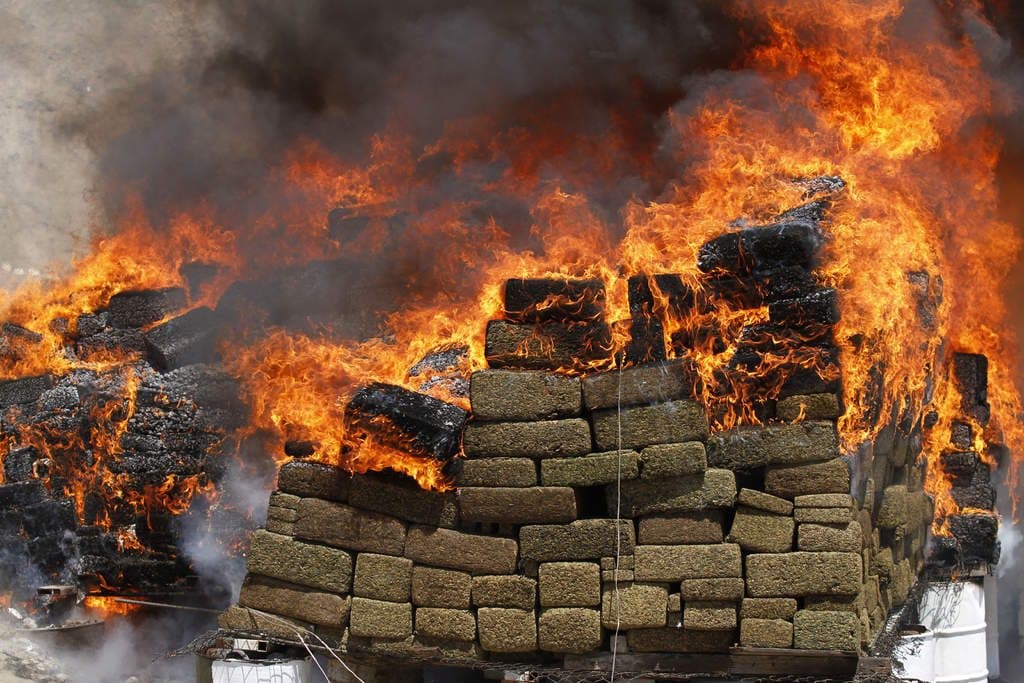 Fuerzas federales suman 868 mdp en decomisos a delincuencia organizada