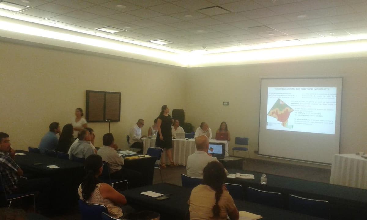 Presentan proyecto para hacer parque de Dreamworks en la Riviera Maya, al estilo de Disneylandia