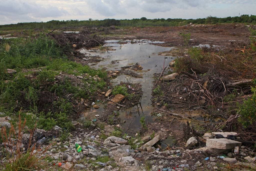 Rematan de manera ilegal predio El Paraíso