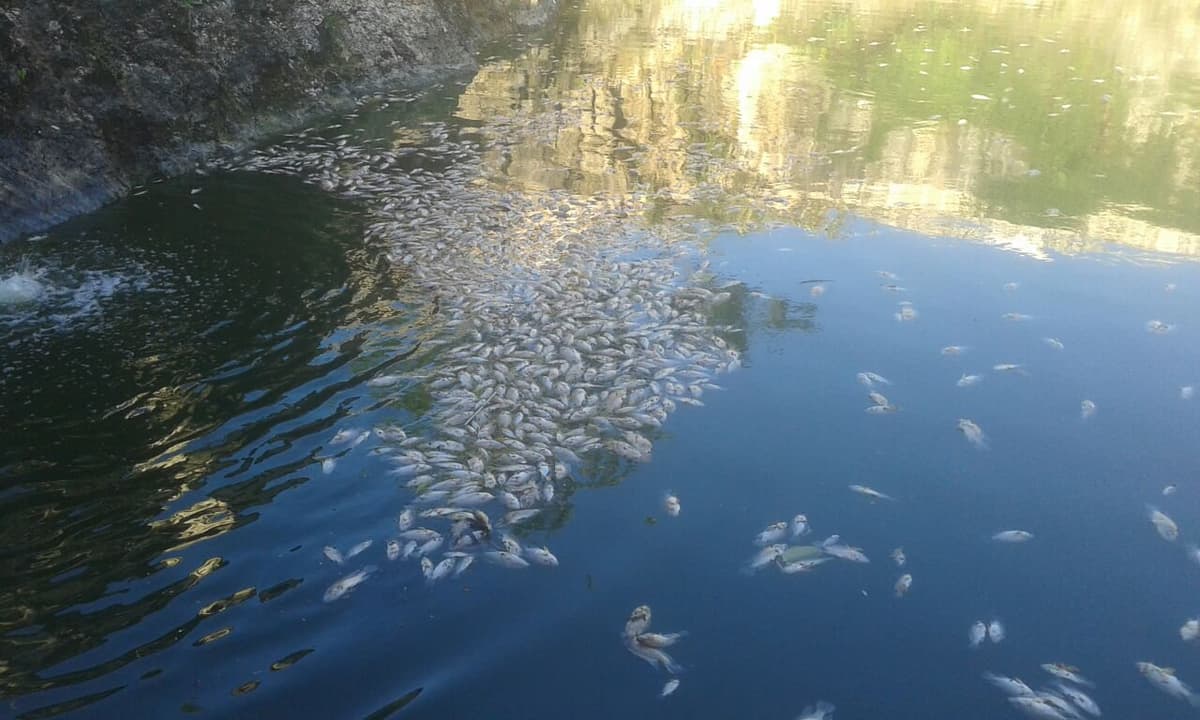 Marciano Toledo demandará a AGUAKAN por 5 mil millones de pesos