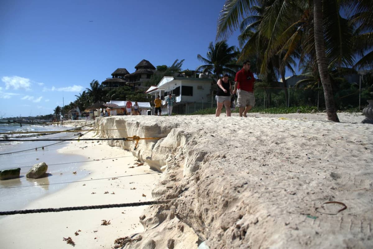 “La solución no puede ser a corto plazo, hay que pensar a futuro”: Cristina Torres