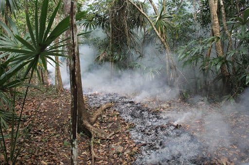 Llega la temporada de secas, instalarán comités para prevenir incendios forestales