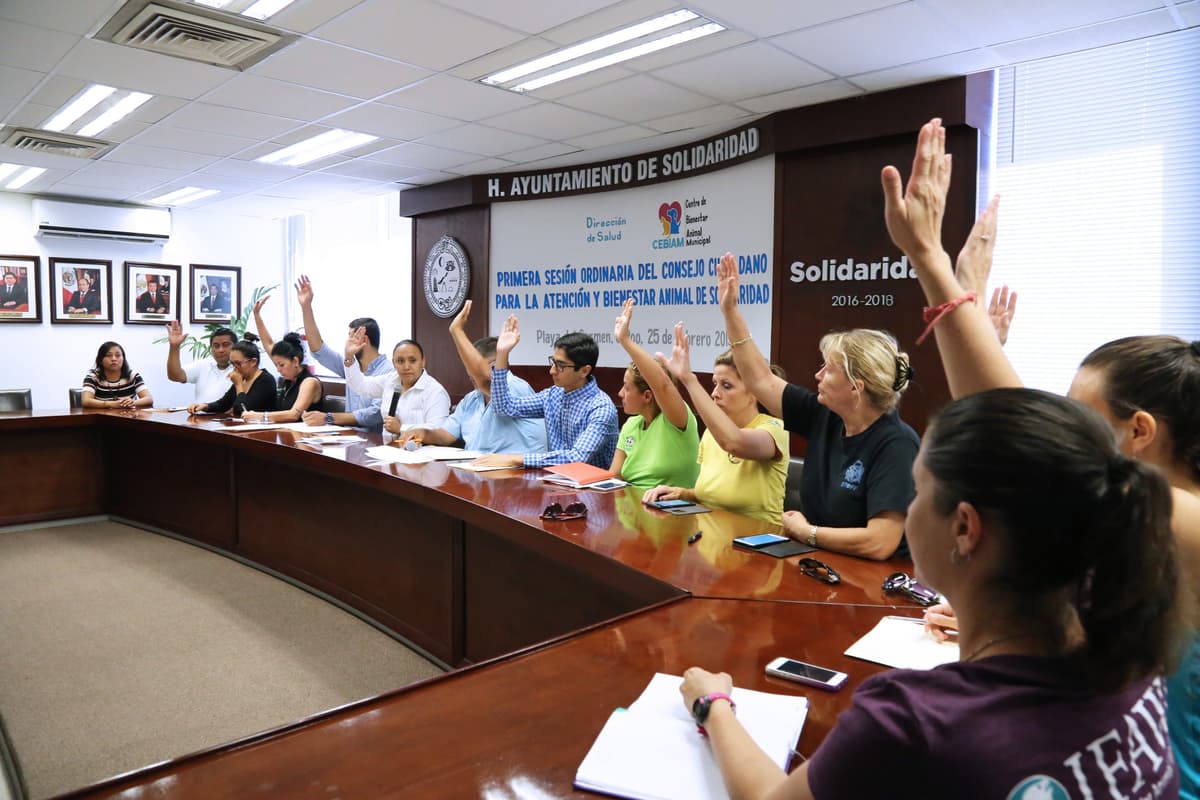 Sesiona Consejo Ciudadano para la Atención y Bienestar Animal en Solidaridad