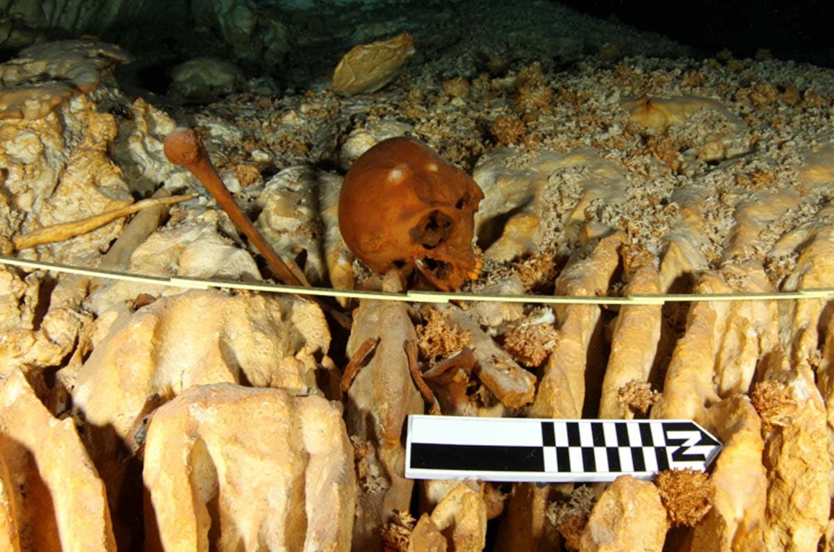 Proyecto Arqueológico Subacuático Hoyo Negro dará a conocer nuevos descubrimientos de Naia