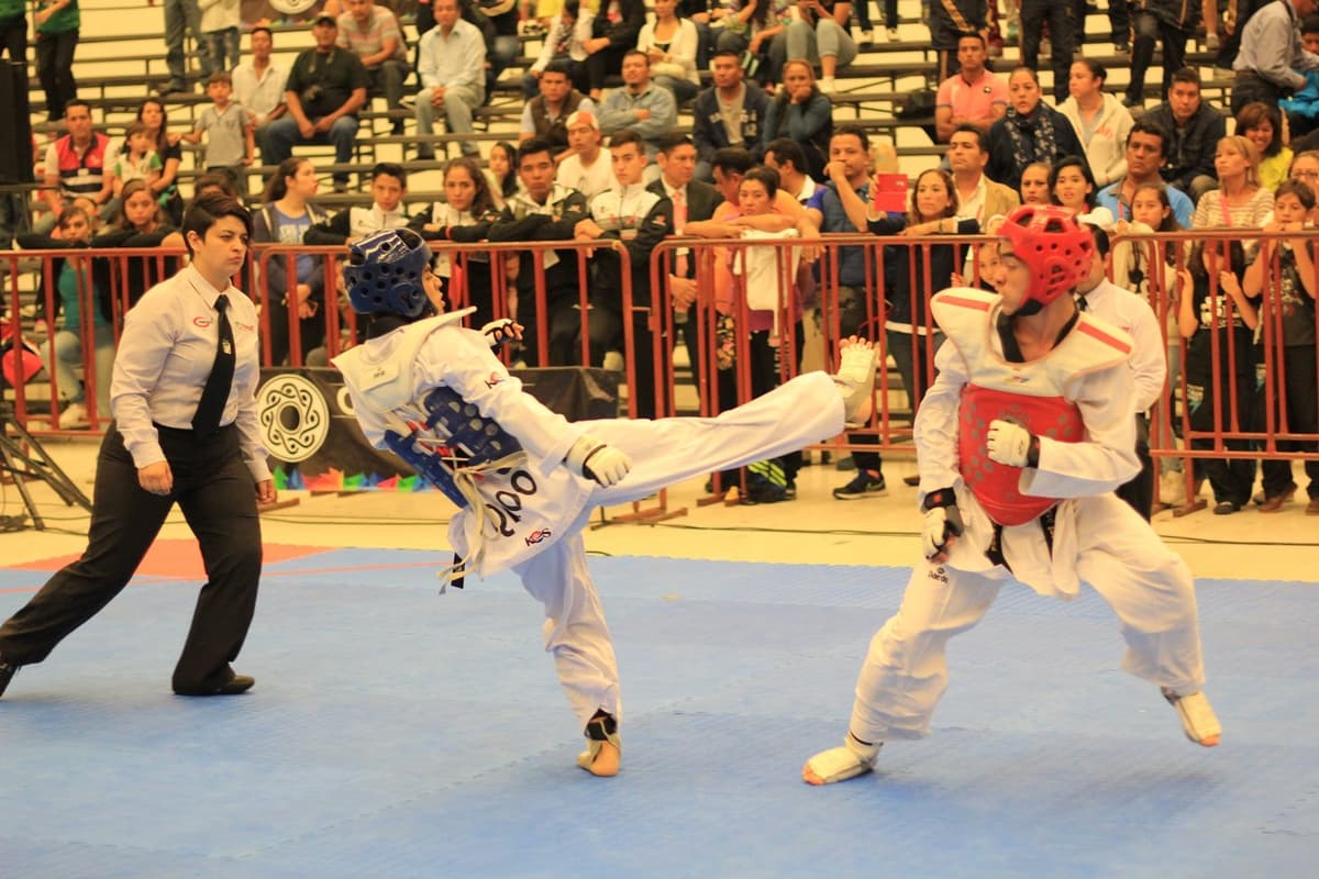 Se preparan atletas de Tae Kwon Do y Ajedrez para la etapa estatal de Olimpiada 2017 en Cancún