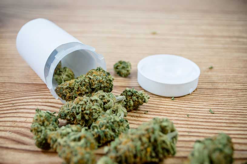 Congreso Federal aprueba el uso de la mariguana medicinal