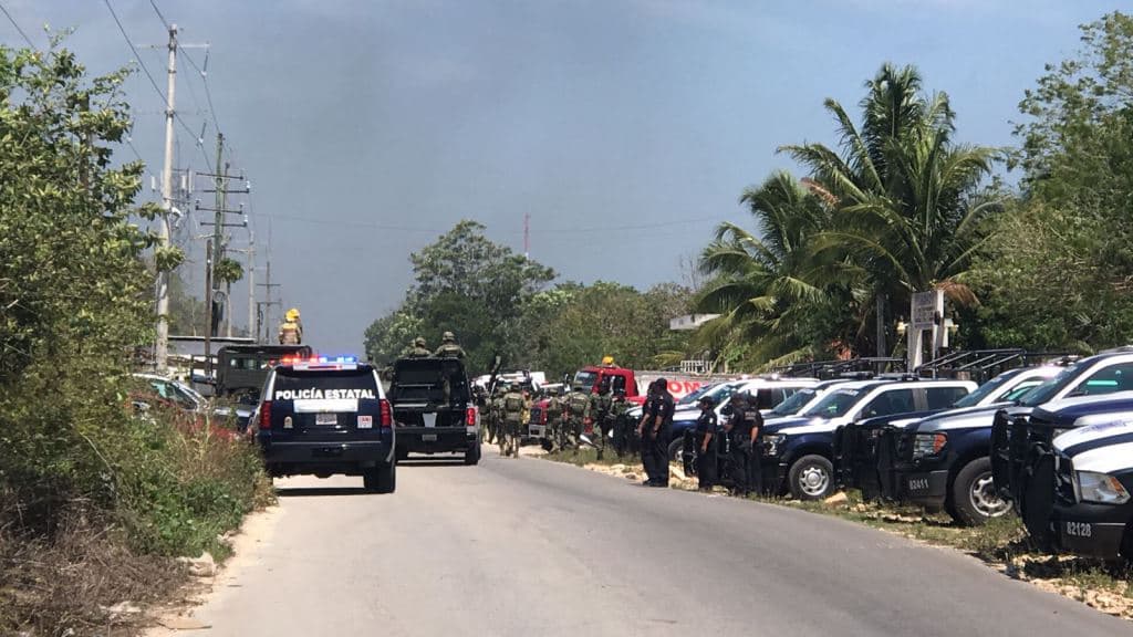 Bajo investigación custodios, personal administrativo y operativo