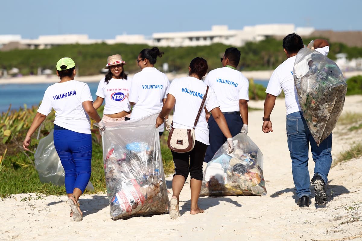Participa Solidaridad en festival Eco Cultural con limpieza de playas