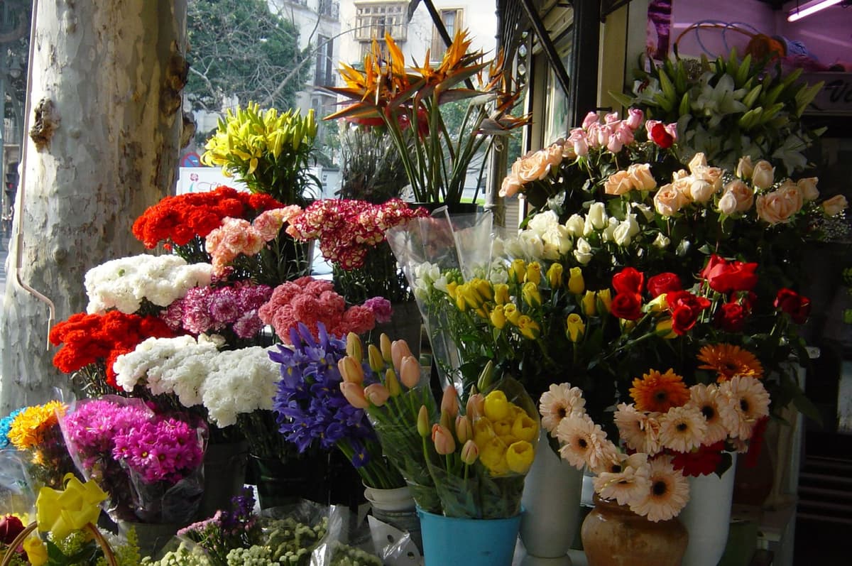 Monta operativo PROFECO por Día de la Madre