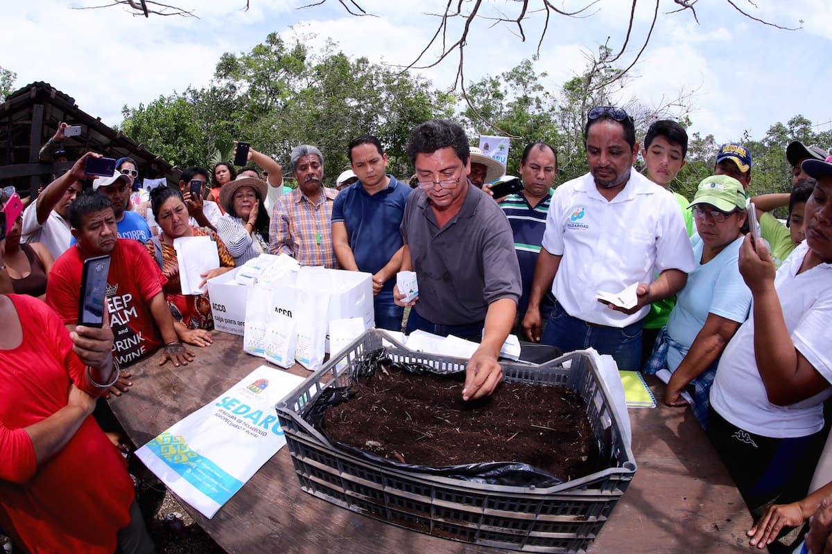 Arranca en Solidaridad programa estatal sobre agricultura de traspatio