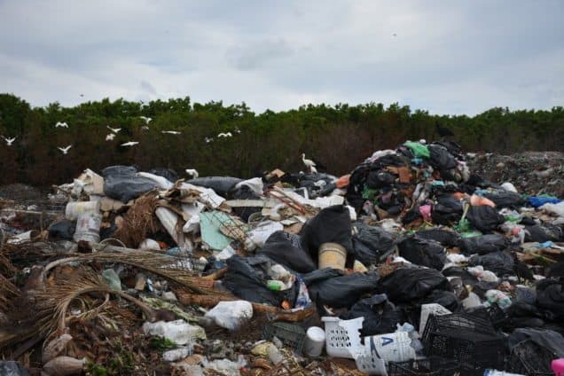 Holbox al borde del colapso, por problemas ambientales