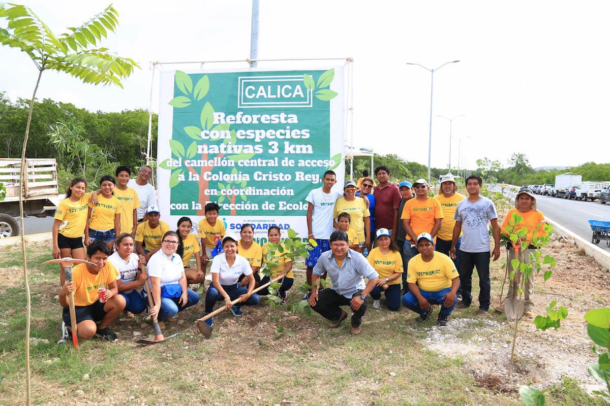 Reforesta Solidaridad vía de acceso a Cristo Rey con 120 árboles nativos
