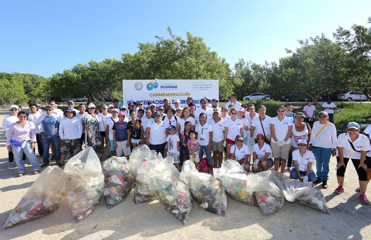 Más de 300 personas participaron en la limpieza de manglares en Solidaridad