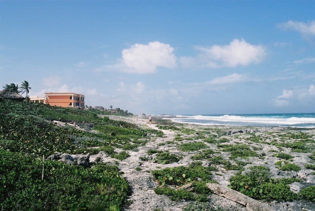 También en Tulum requieren rescate de arenales, presentan proyecto para Chemuyil