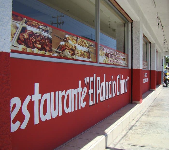 Cerraron 10 restaurantes chinos que vendían carne de rata, gato y perro en Quintana Roo