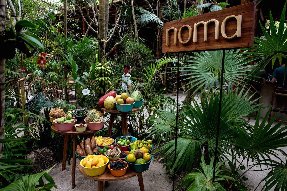 Los platillos que probó Jorge Ramos en NOMA, restaurante pop-up en Tulum