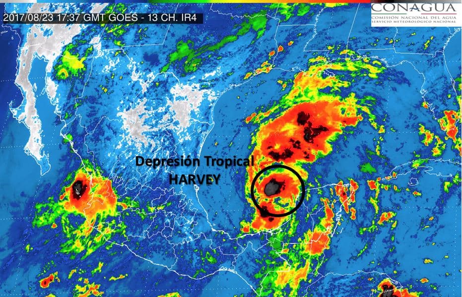 Harvey se recuperó y ahora es depresión tropical