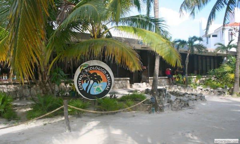 Poder Judicial de la Federación condena la Revista “Polémica”.