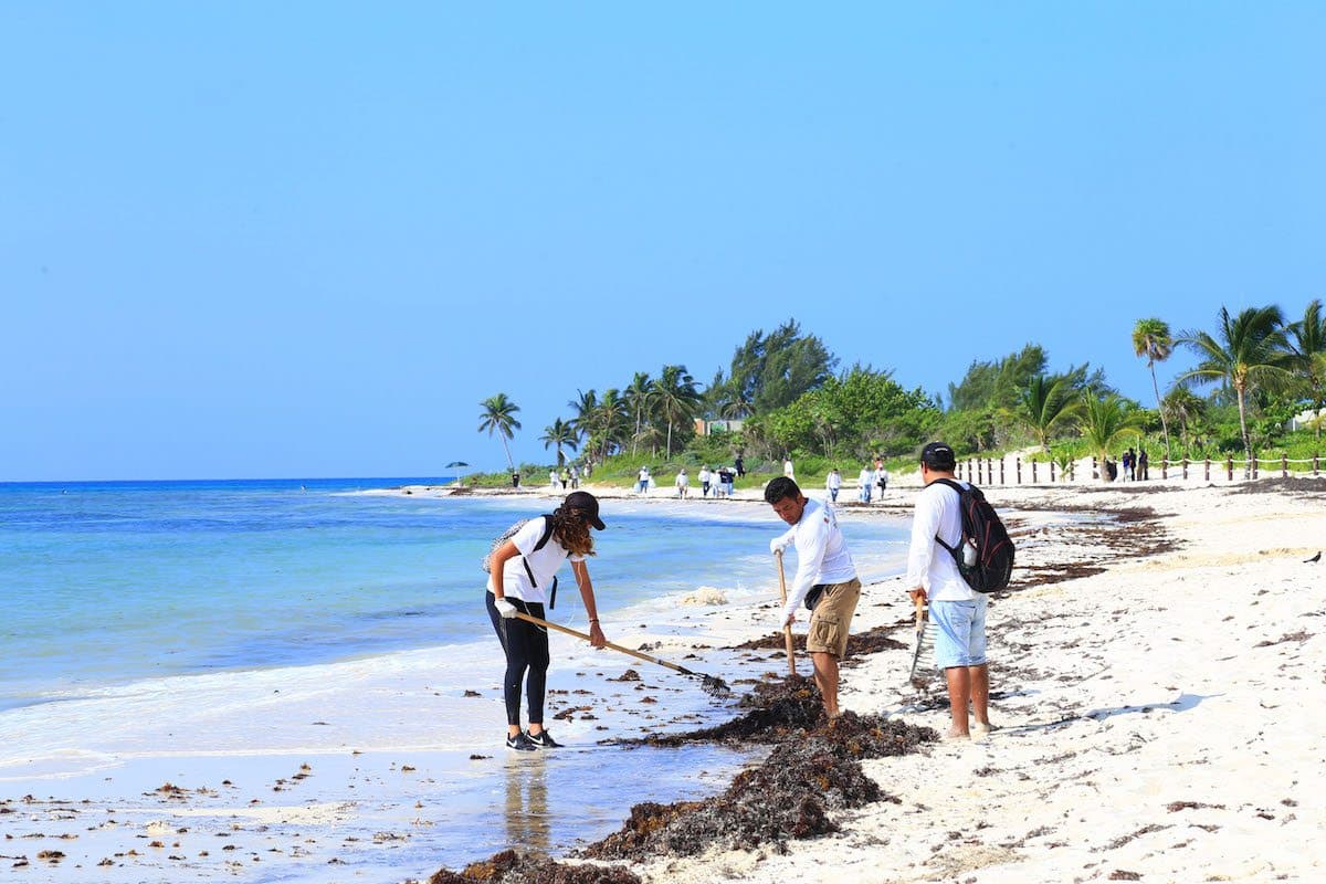 Solidaridad impulsa limpieza de costas