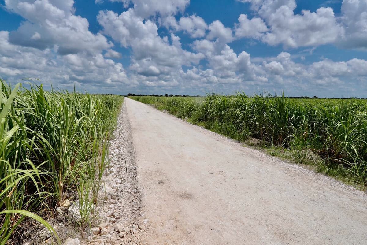 Carlos Joaquín entrega caminos sacacosechas