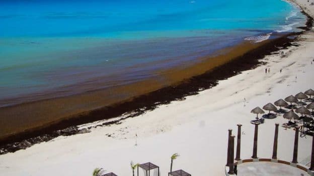 Pedirán recursos a la Federación por el tema del sargazo