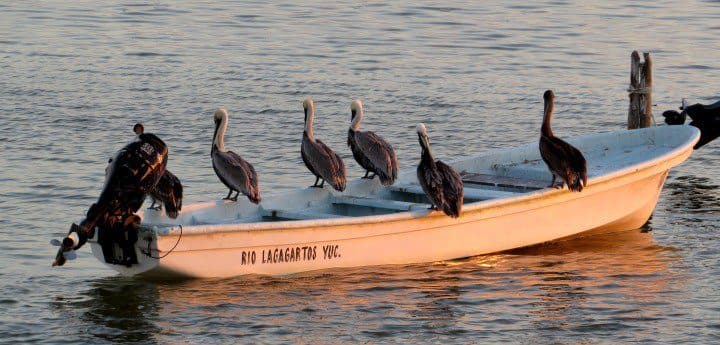 Pescadores de Río Lagartos impiden acceso a foráneos