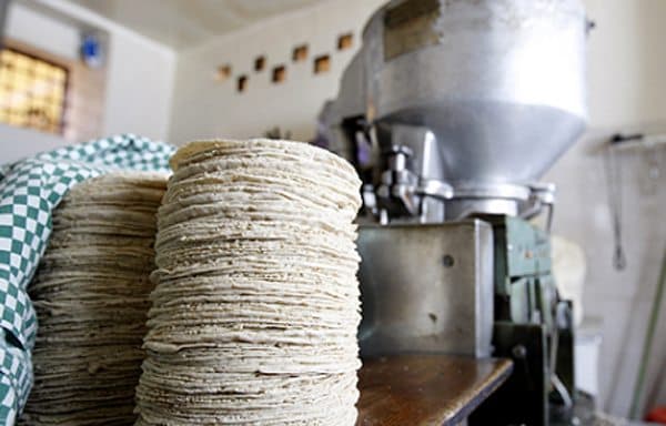 Bajará precio de tortillas en Solidaridad y Puerto Aventuras