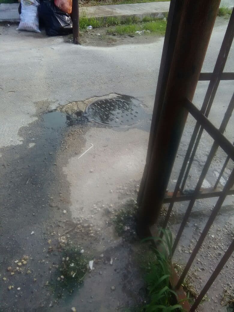 Colapsa sistema de drenaje de CAPA en Flamboyanes, pestilentes aguas negras brotan de las calles
