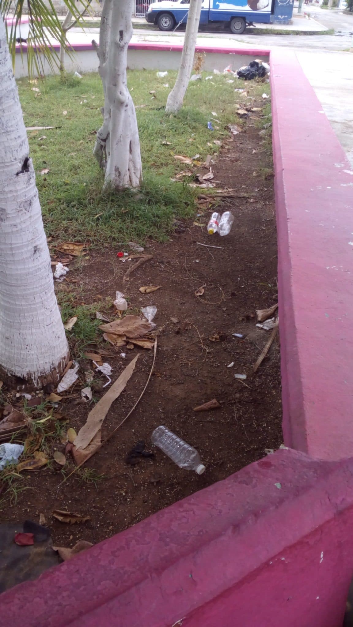 Basura y grafiti adornan parques de colonias populares ante apatía municipal