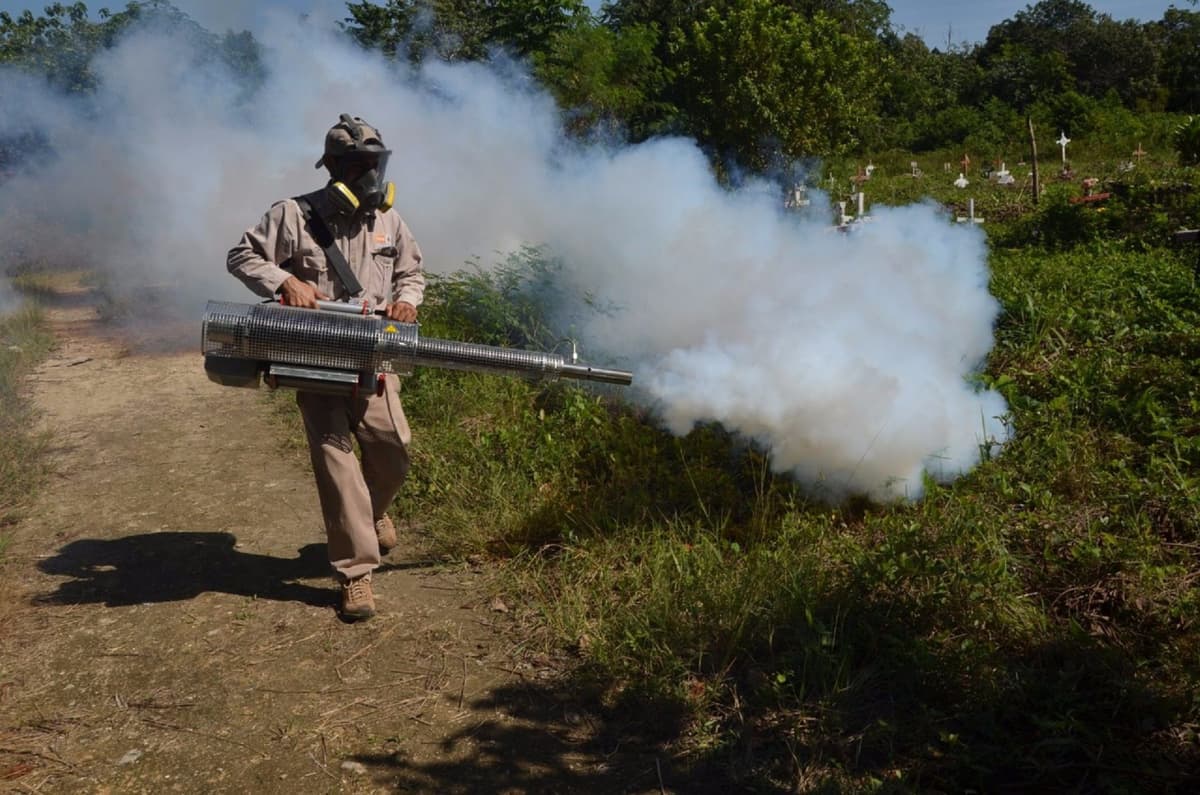 Brigadas realizan trabajo de nebulización y control larvario en panteones