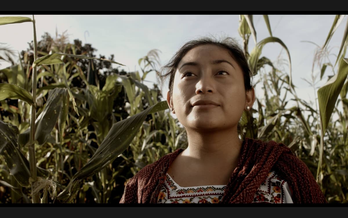 "El Pib" la receta de cocina maya con la que es imposible no llorar