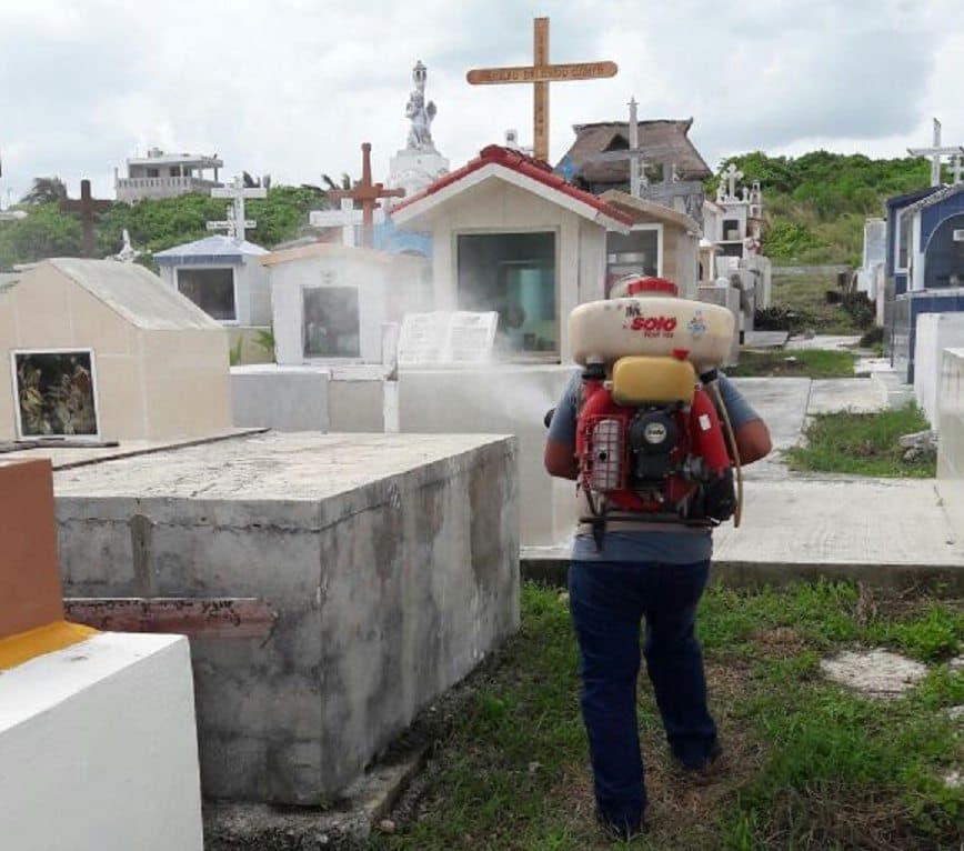Llaman a tomar medidas preventivas para evitar proliferación del Aedes aegypti