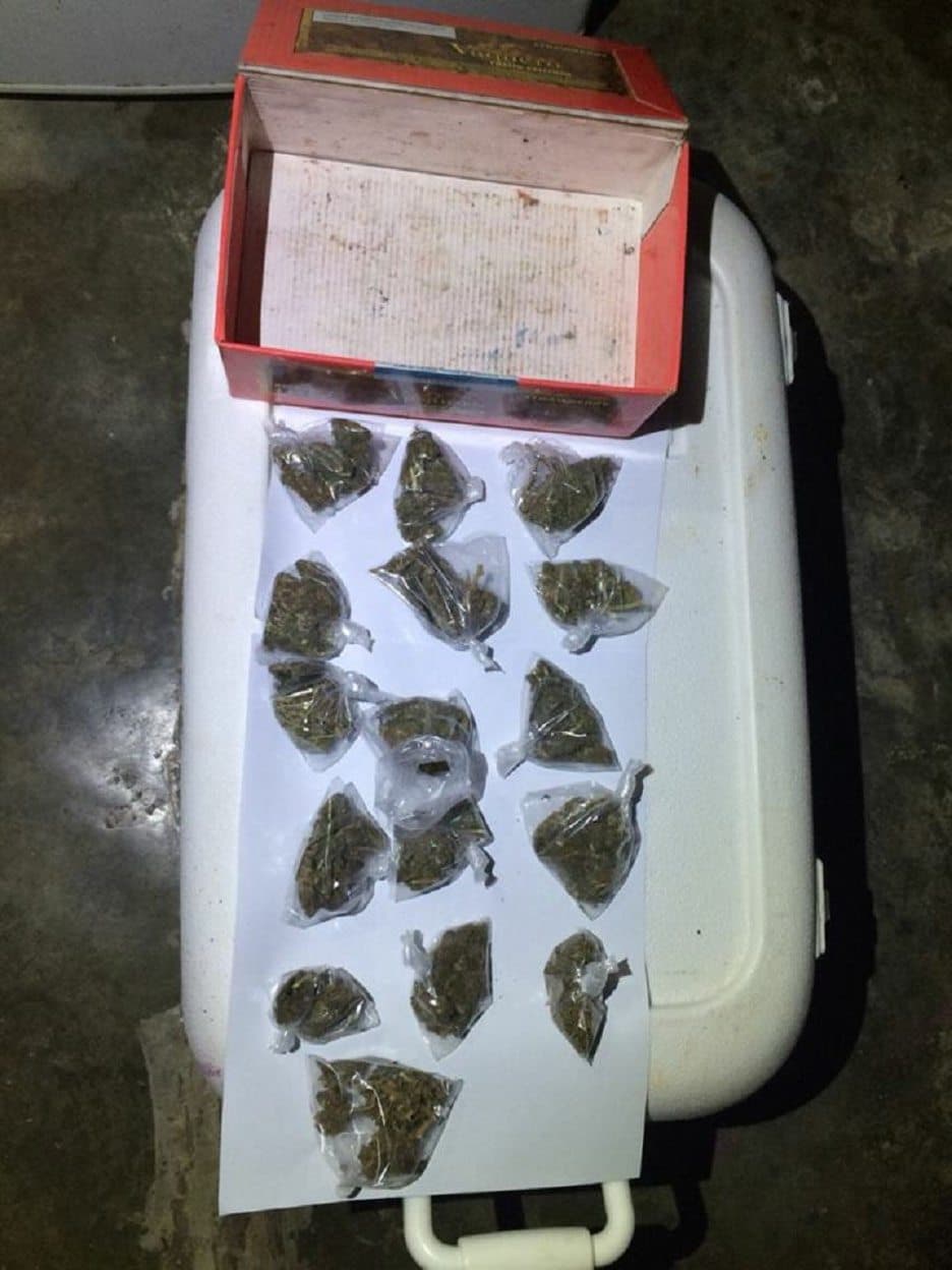 Hallan y aseguran marihuana tras realizar cateo a narcovivienda