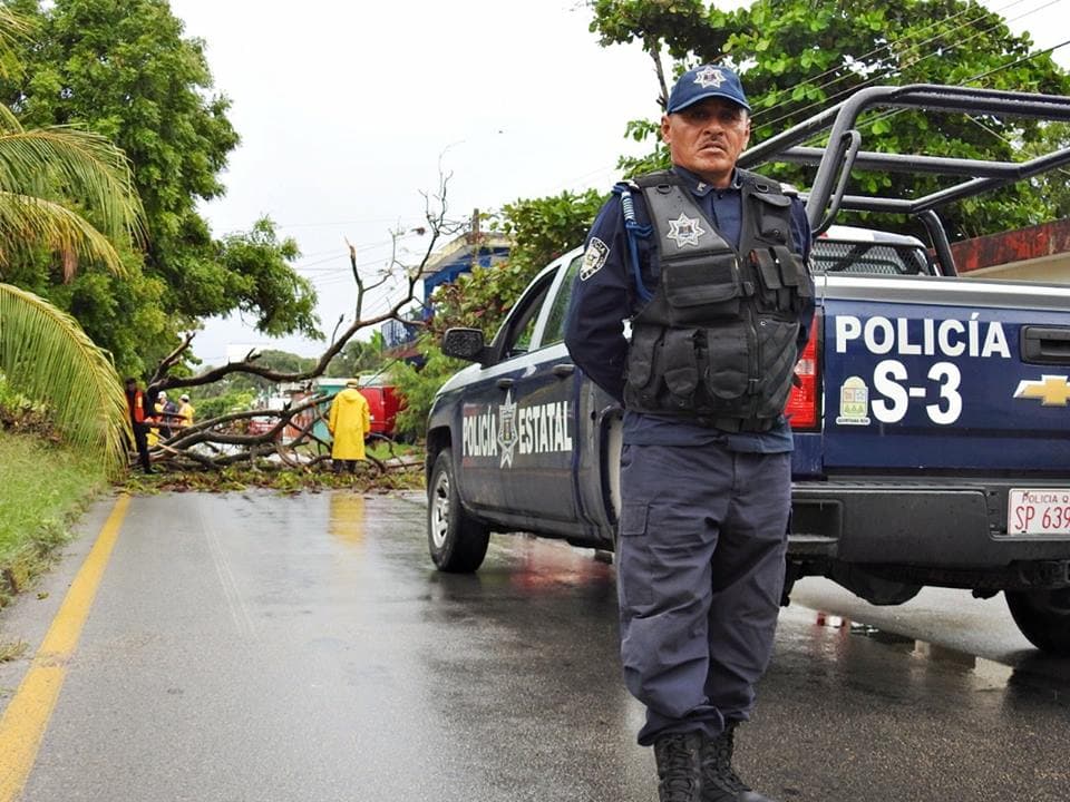 Provocan lluvias caída de árbol; activan Operativo Carrusel