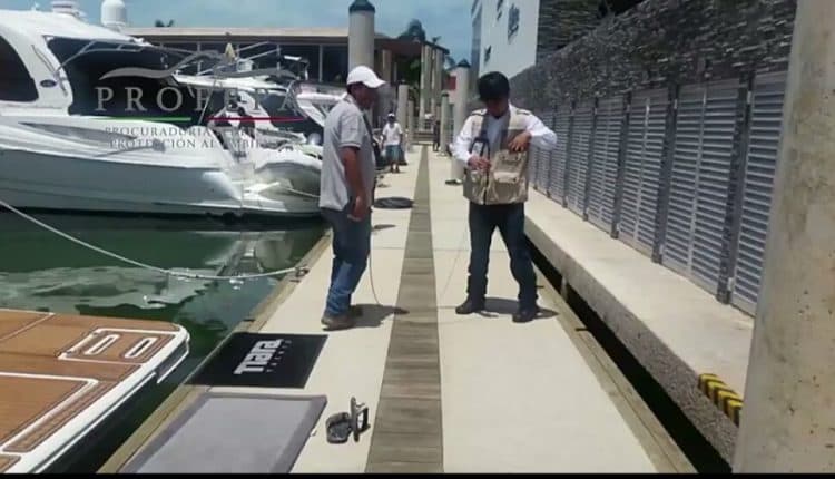 Substancia PROFEPA procedimiento administrativo a Marina Kaybal de Cancún