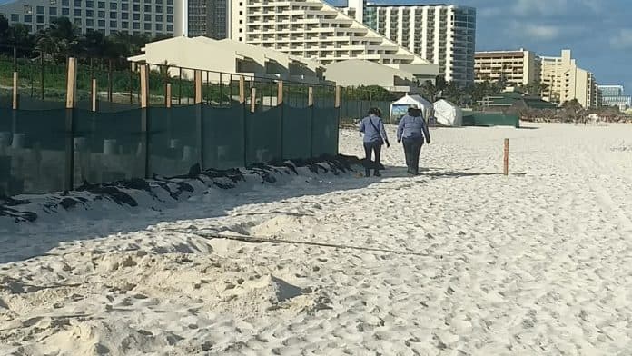 Se defiende PROFEPA por tema Grand Solaris y señalamientos de Katerine Ender