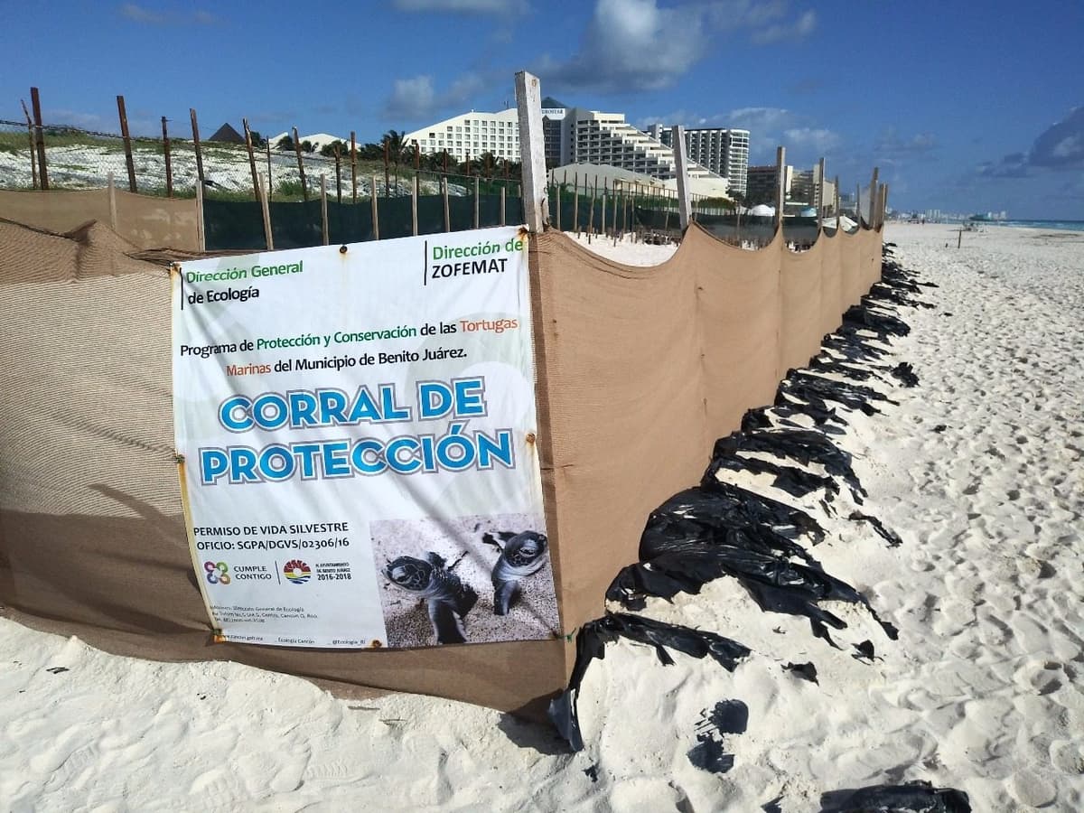 Suspensión a Gran Solaris durará 15 días