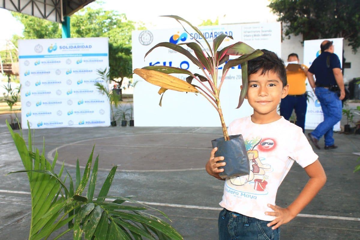 Intercambia Kilo Verde seis mil plantas por residuos sólidos reciclables