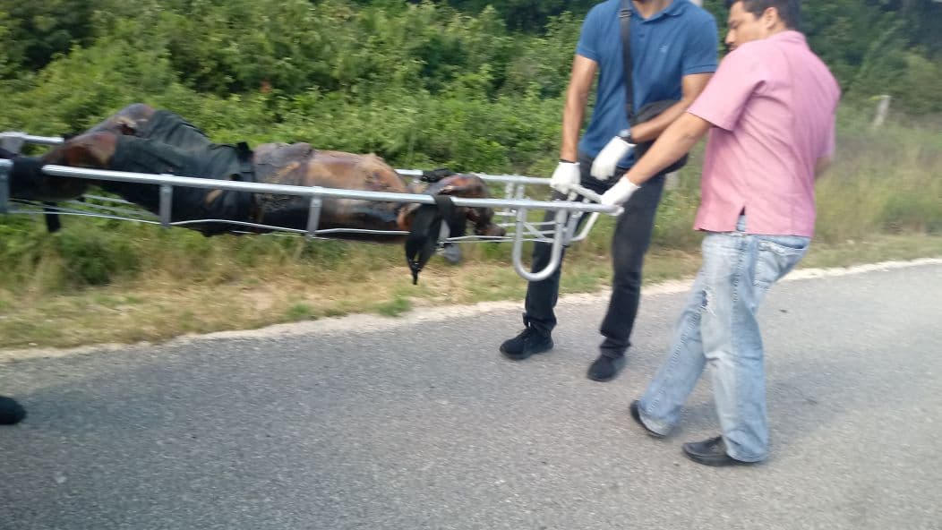 Hallan cuerpo de mujer por Punta Venado
