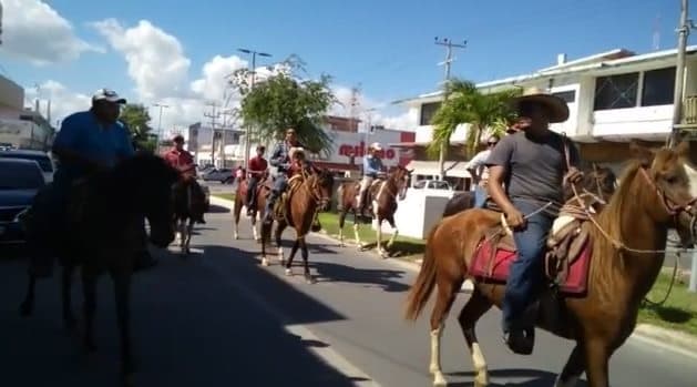 Galleros logran postergar la aprobación de la Ley de Bienestar Animal