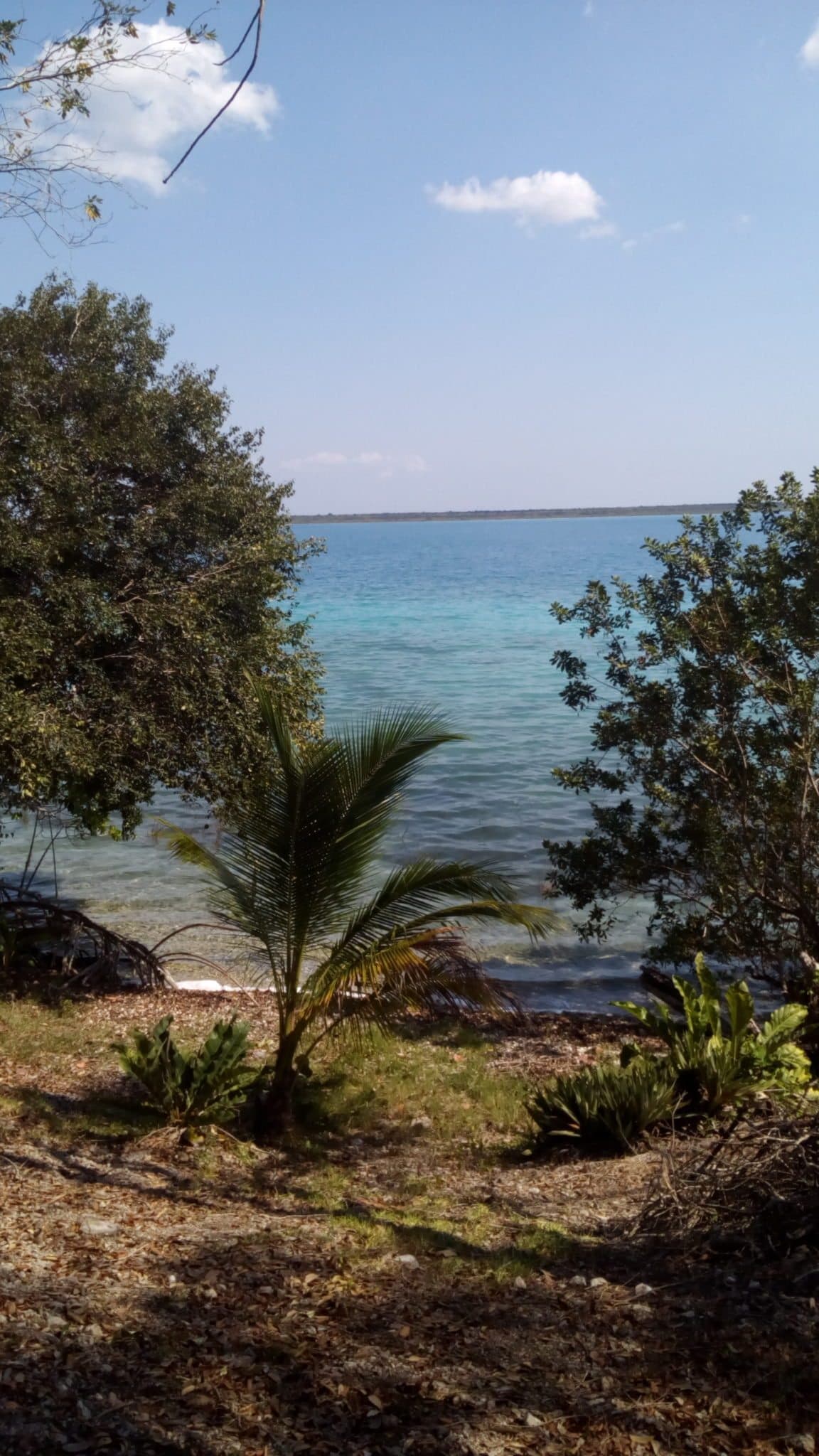 Sujetos son vinculados a proceso por despojo de La Piedra