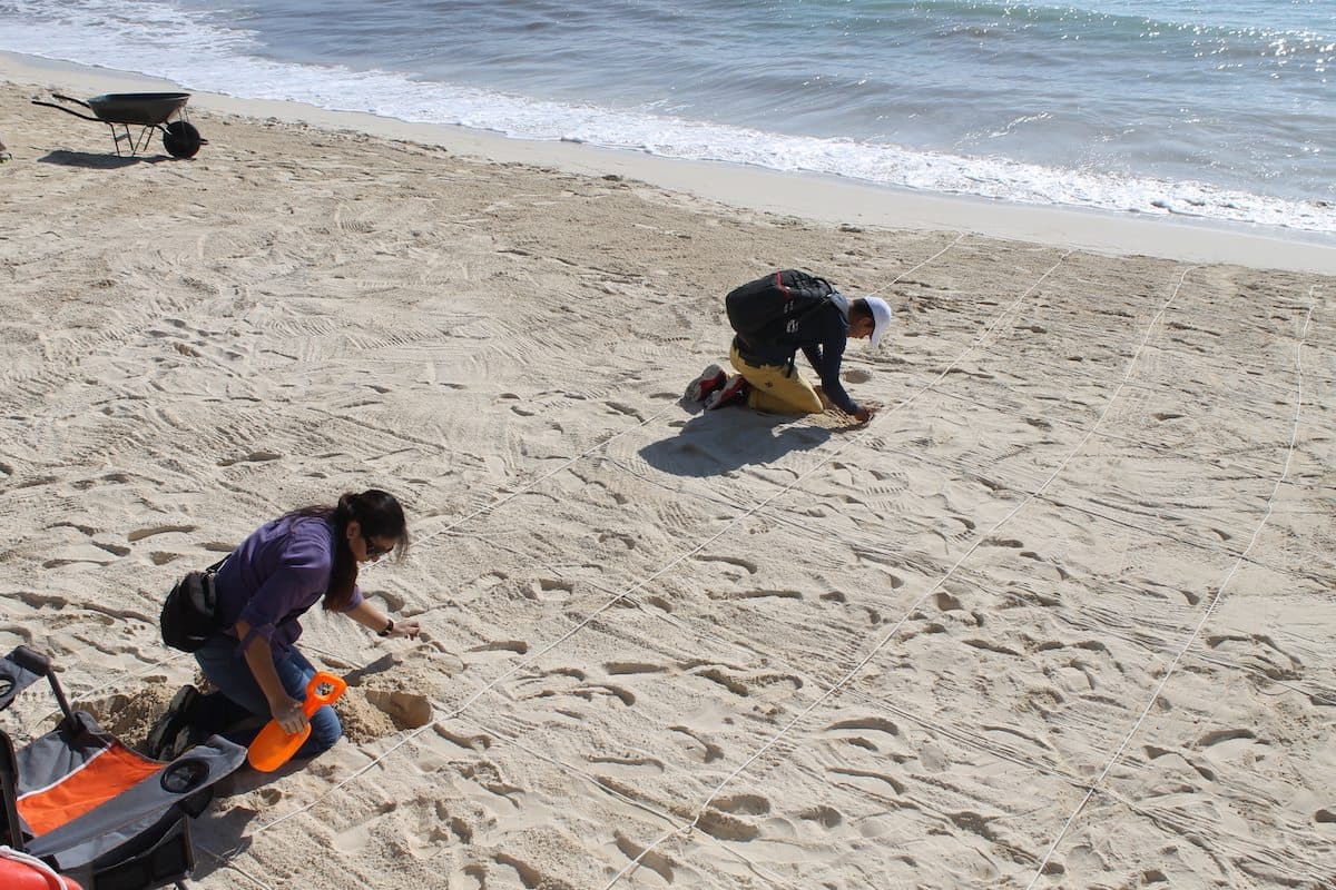 Playa 88 se mantiene con criterios de la certificación "Blue Flag" en Solidaridad